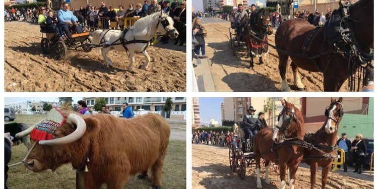 La playa de La Pobla de Farnals celebra en unos días su gran fiesta de San Antonio de la Mar