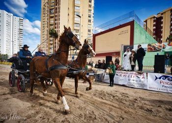 La playa de La Pobla de Farnals celebra en unos días su gran fiesta de San Antonio de la Mar
