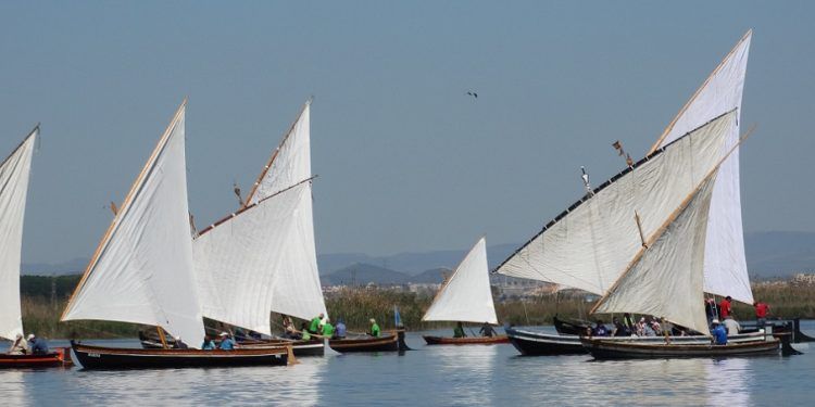 Las exhibiciones de Vela Llatina vuelven a la Albufera de Valencia tras el parón veraniego