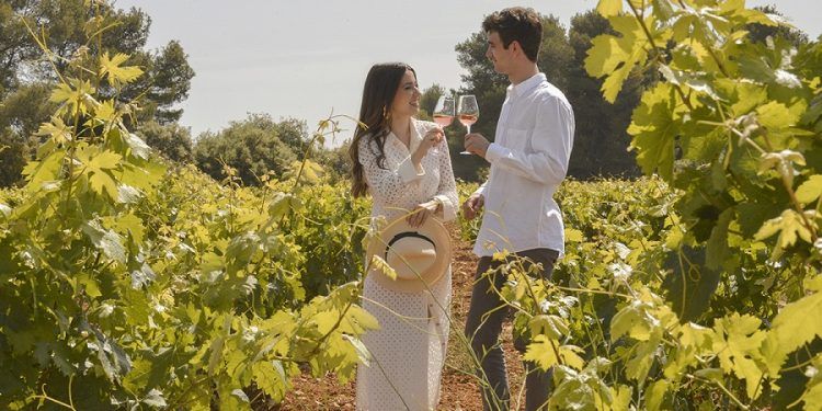 Conoce la Comunitat Valenciana a través de sus vinos, bodegas, gastronomía y costumbres
