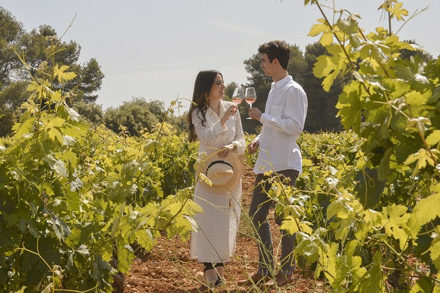 Conoce la Comunitat Valenciana a través de sus vinos, bodegas, gastronomía y costumbres