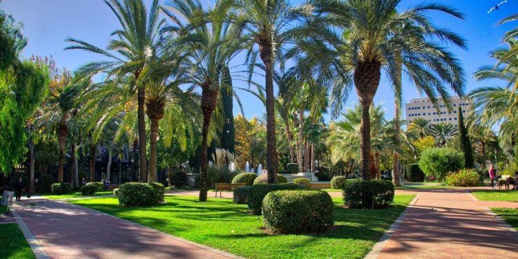 ¿Sabías que Valencia ha sido reconocida, por primera vez, como Ciudad Arbórea del Mundo?
