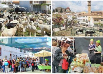 Andilla acoge un nuevo Gastromercado y Jornadas de Pastoreo de Montaña en unos días