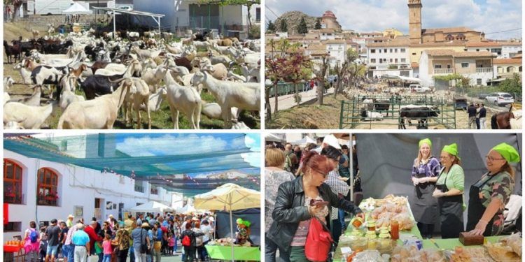 Andilla acoge un nuevo Gastromercado y Jornadas de Pastoreo de Montaña en unos días