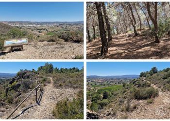 La Microreserva de Les Coves, una sencilla ruta en Montserrat para conocer un espacio protegido