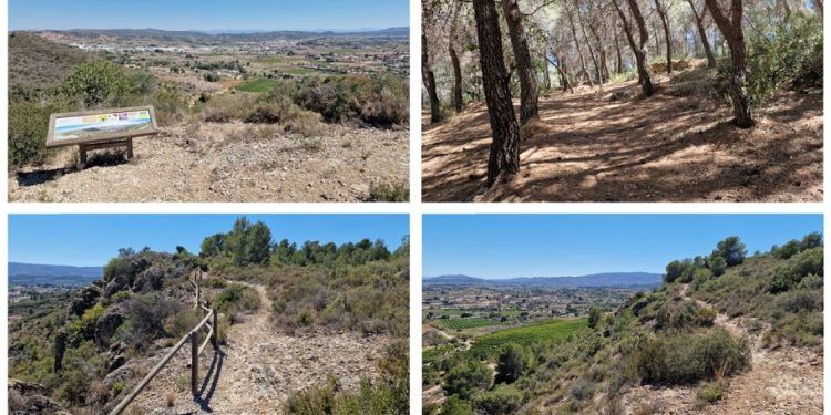 La Microreserva de Les Coves, una sencilla ruta en Montserrat para conocer un espacio protegido
