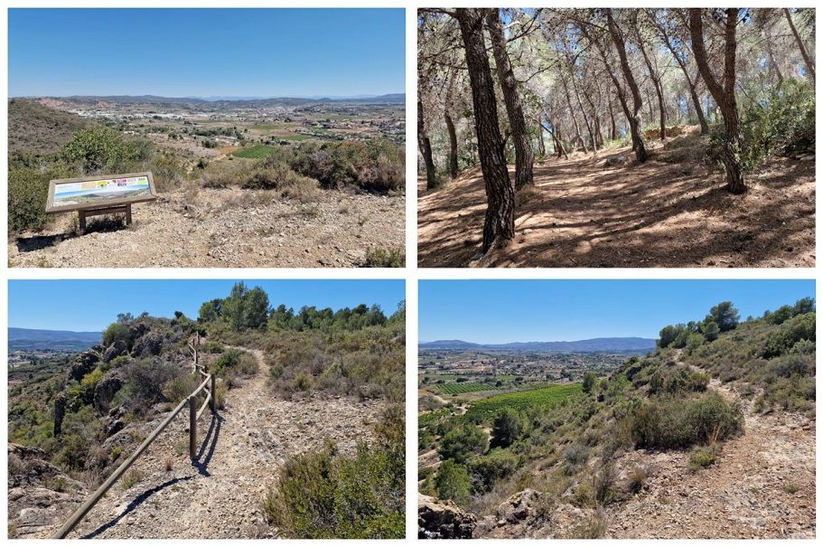 La Microreserva de Les Coves, una sencilla ruta en Montserrat para conocer un espacio protegido