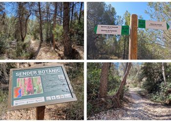 El Barranc de la Canyada y el Barranc de Ferrando, el bello y sencillo sendero botánico de Llombai