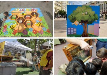 Mercadillo de mieles y actividades en el centro de Valencia por el Día Mundial de las Abejas