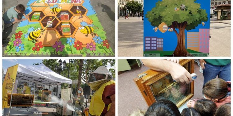Mercadillo de mieles y actividades en el centro de Valencia por el Día Mundial de las Abejas