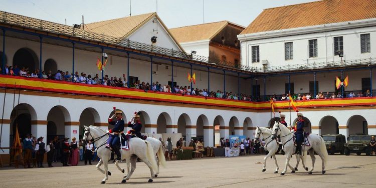 Museo Vivo vuelve a Valencia con un gran programa de actividades y exhibiciones gratuitas