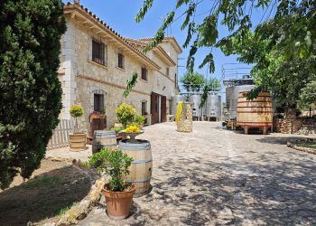Barón d’Alba, una preciosa bodega castellonense para disfrutar del enoturismo entre viñedos