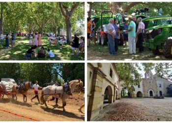 Nueva Fira de Sant Pere en Albocàsser para defender las tradiciones agrícolas y ganaderas