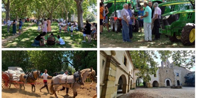 Nueva Fira de Sant Pere en Albocàsser para defender las tradiciones agrícolas y ganaderas