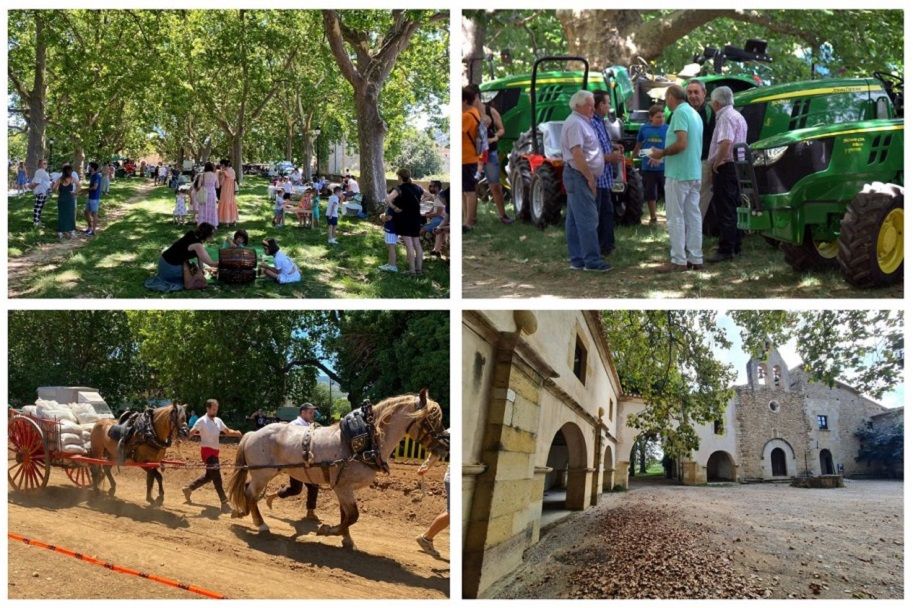 Nueva Fira de Sant Pere en Albocàsser para defender las tradiciones agrícolas y ganaderas