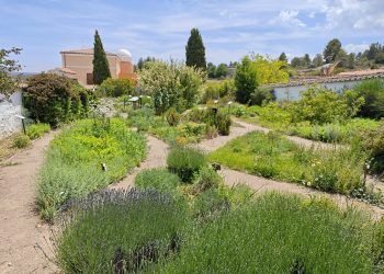¿Sabías que hay un cementerio reconvertido en jardín botánico en la provincia de Valencia?