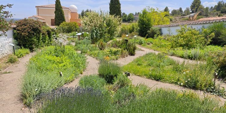 ¿Sabías que hay un cementerio reconvertido en jardín botánico en la provincia de Valencia?