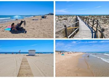 La Playa de l´Auir, una playa virgen en Gandia que está protegida por sus dunas y un ave costera