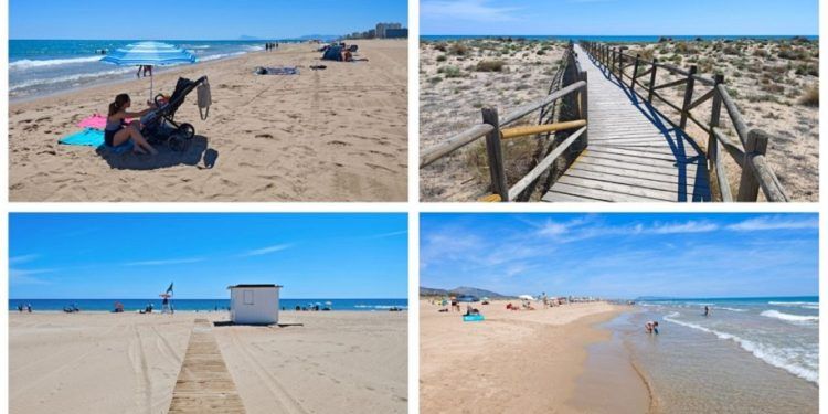 La Playa de l´Auir, una playa virgen en Gandia que está protegida por sus dunas y un ave costera