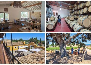 Bodegas Nodus, una antigua colonia agrícola convertida en bodega, restaurante y hotel rural