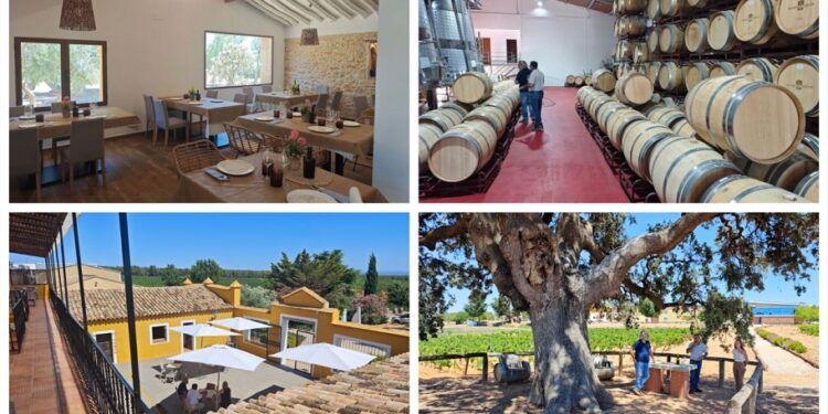 Bodegas Nodus, una antigua colonia agrícola convertida en bodega, restaurante y hotel rural