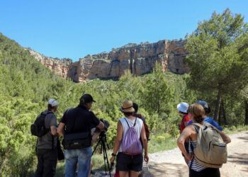 Tuéjar celebra estos días el Festival de los Buitres con actividades, excursiones, talleres y charlas