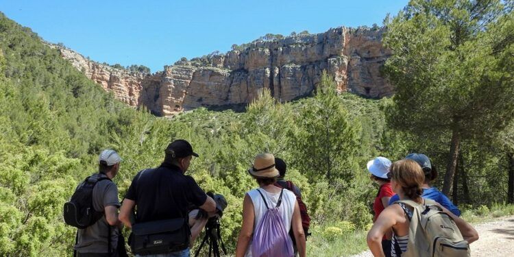 Tuéjar celebra estos días el Festival de los Buitres con actividades, excursiones, talleres y charlas