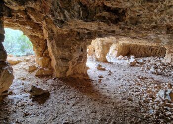 El Palmeral de Pedralba, la bella y salvaje ruta azul del Parque Natural del Turia