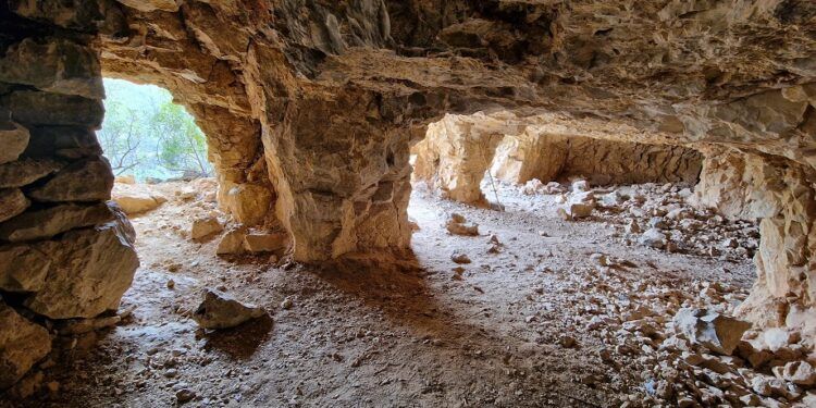 El Palmeral de Pedralba, la bella y salvaje ruta azul del Parque Natural del Turia