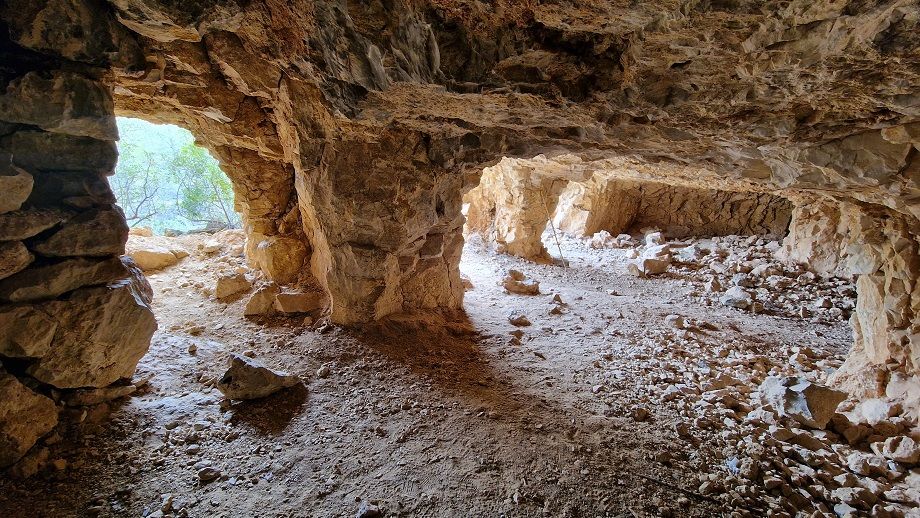 El Palmeral de Pedralba, la bella y salvaje ruta azul del Parque Natural del Turia