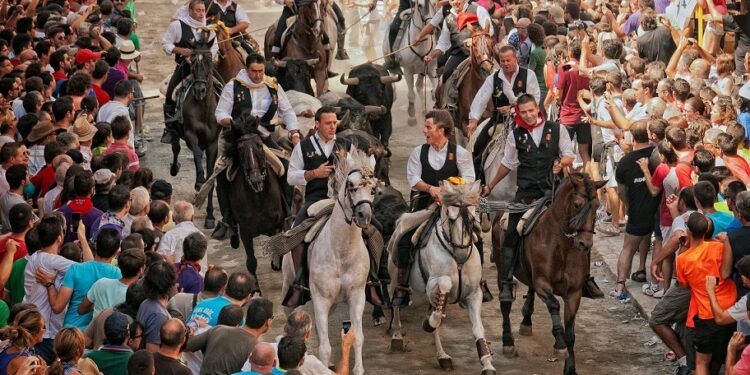 Vuelve la Entrada de Toros y Caballos de Segorbe, una Fiesta de Interés Turístico Internacional