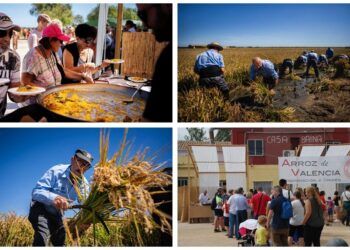 El Puerto de Catarroja celebra la gran Fiesta de la Siega con feria del arroz y muchas actividades