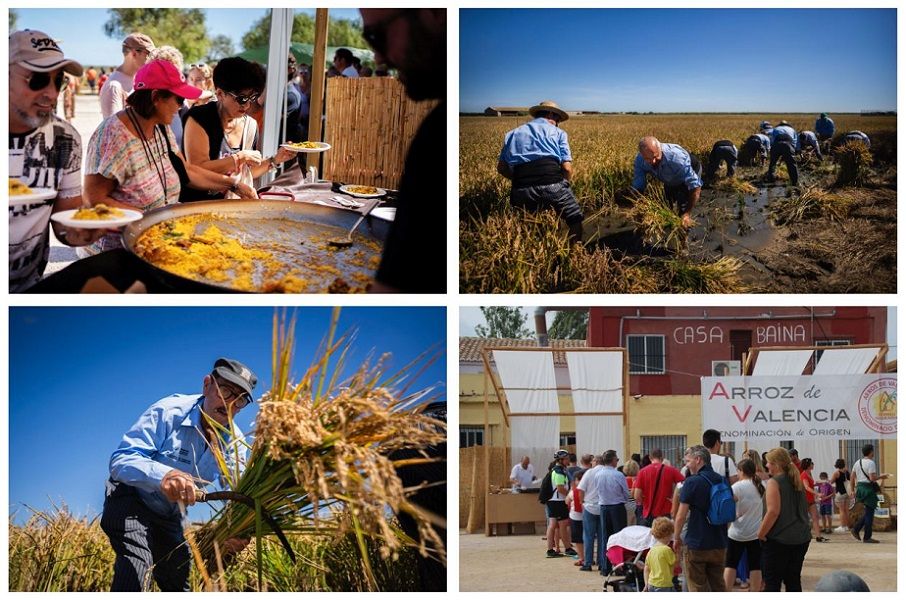 El Puerto de Catarroja celebra la gran Fiesta de la Siega con feria del arroz y muchas actividades