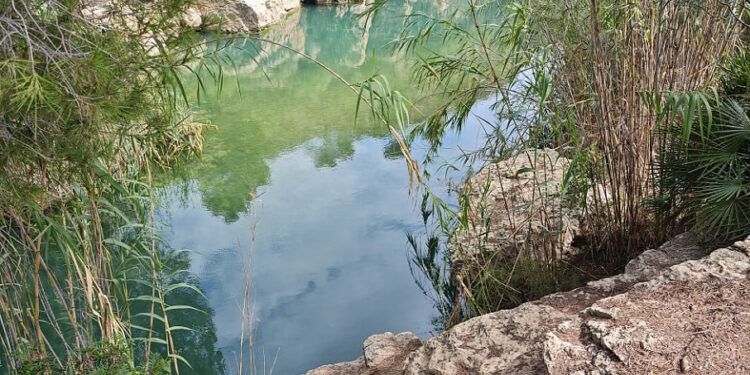 El Remanso del Sastre, la escondida poza de Pedralba a la que únicamente se accede por ruta