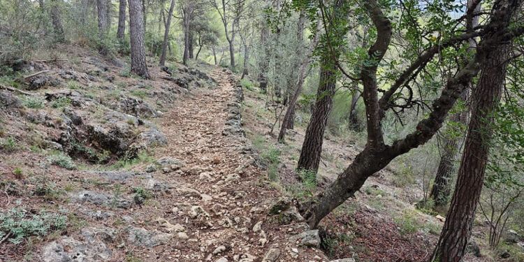 La Serreta del Ràfol y l´Ombria del Benicadell, un bello recorrido lleno de patrimonio y naturaleza