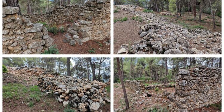 El poblado ibérico del Corralet, un yacimiento de la provincia de Valencia oculto entre pinos