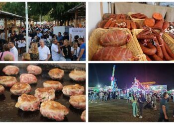 Gastronomía, artesanía, conciertos y feria atracciones en la Fira Gastronòmica de l’Alcúdia 2024