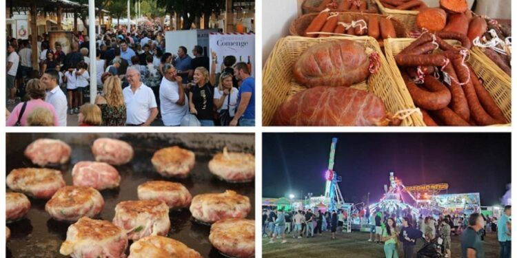 Gastronomía, artesanía, conciertos y feria atracciones en la Fira Gastronòmica de l’Alcúdia 2024