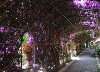 Así es el último jardín histórico-artístico del siglo XIX de Valencia, un bello rincón digno de visita