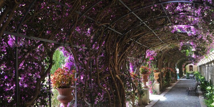Así es el último jardín histórico-artístico del siglo XIX de Valencia, un bello rincón digno de visita