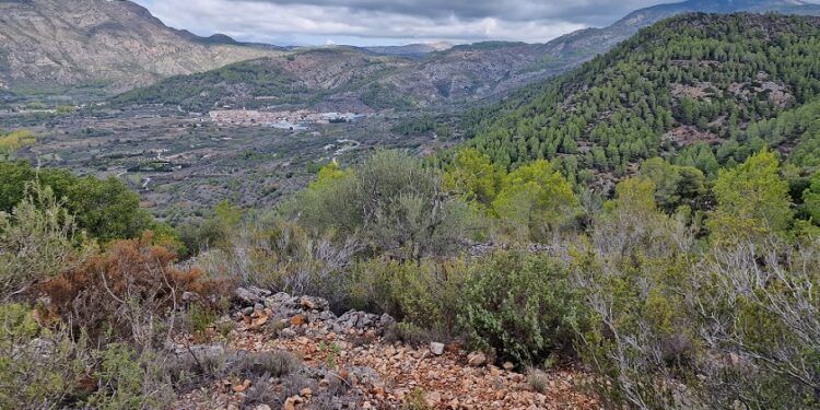 La Senda Barranc Fondo y el Camí dels Pialatos, una bella ruta por antiguos caminos de Lorcha