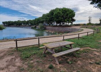 La Ruta del Paisatge Cultural del Xúquer a Riola, un bello recorrido para hacer a pie o en bici