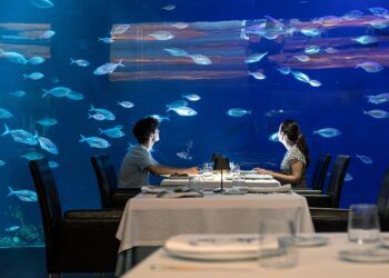Saborea una exclusiva cena con Hispano-Suizas en el único restaurante submarino de Valencia