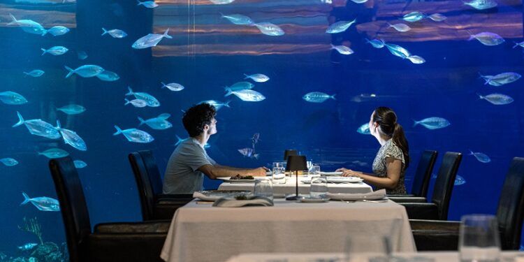 Saborea una exclusiva cena con Hispano-Suizas en el único restaurante submarino de Valencia