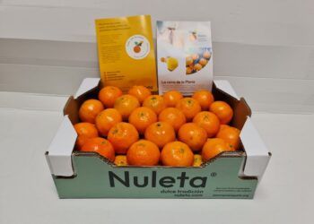 La mejor gastronomía y ocio llega con la Fira Gastronòmica de la Clemenules de la Plana