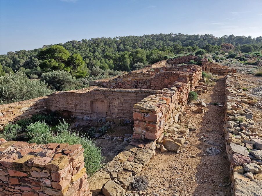 El Castellet de Bernabé, un yacimiento íbero de Llíria en grave estado de abandono