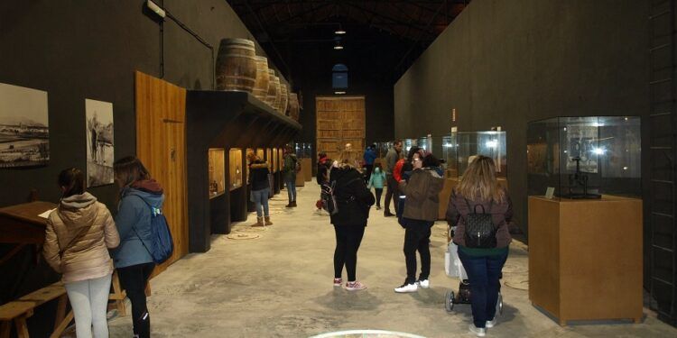 Diez bodegas participan en una nueva edición de la Fira del Vi de la villa medieval de Sant Mateu