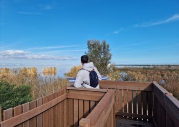 El Tancat de Milia, un espacio protegido para mejorar el agua y la biodiversidad de la Albufera