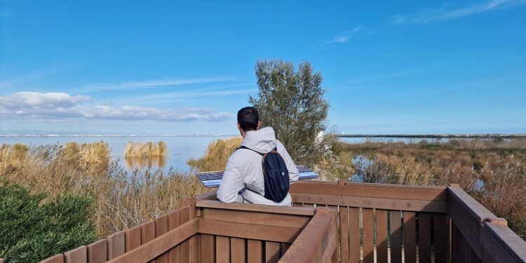 El Tancat de Milia, un espacio protegido para mejorar el agua y la biodiversidad de la Albufera