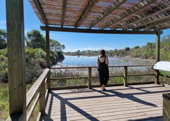 10 lugares imprescindibles que tienes que visitar en el Parc Natural de la Albufera